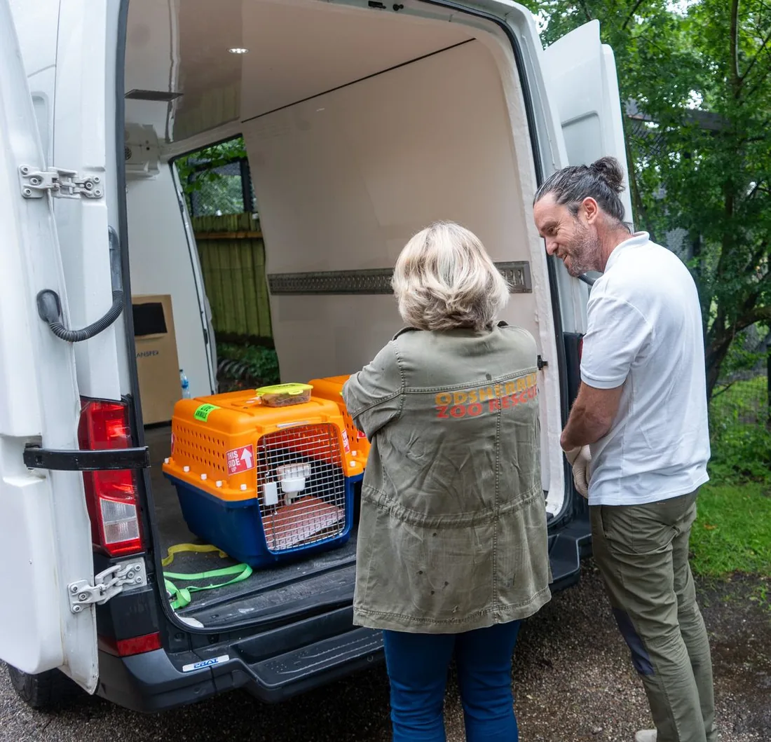 Two people from the rescue lift an animal carrier out of a van